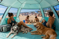 Aven™ Family & Pet Beach Shelter – UPF 50+