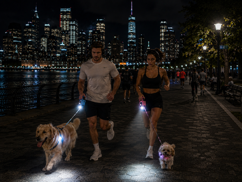 NightSafe™ LED Retractable Dog Leash