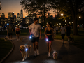 NightSafe™ LED Retractable Dog Leash
