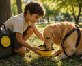 PawGo Portable Travel Bowl