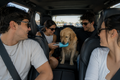 PawSip™ Portable Water Bottle